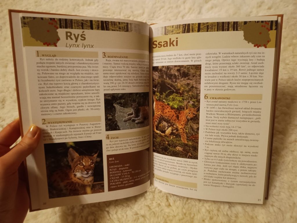 Książka Zwierzęta chronione w Polsce - wydawnictwo Ibis