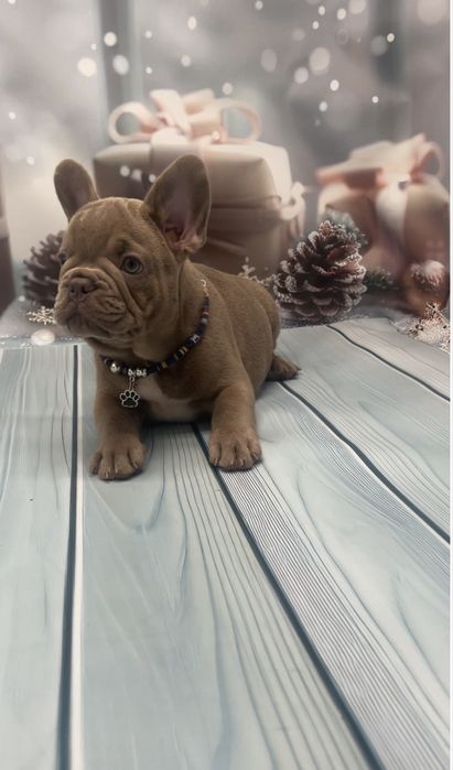 Самі кращі малюки два щепленя