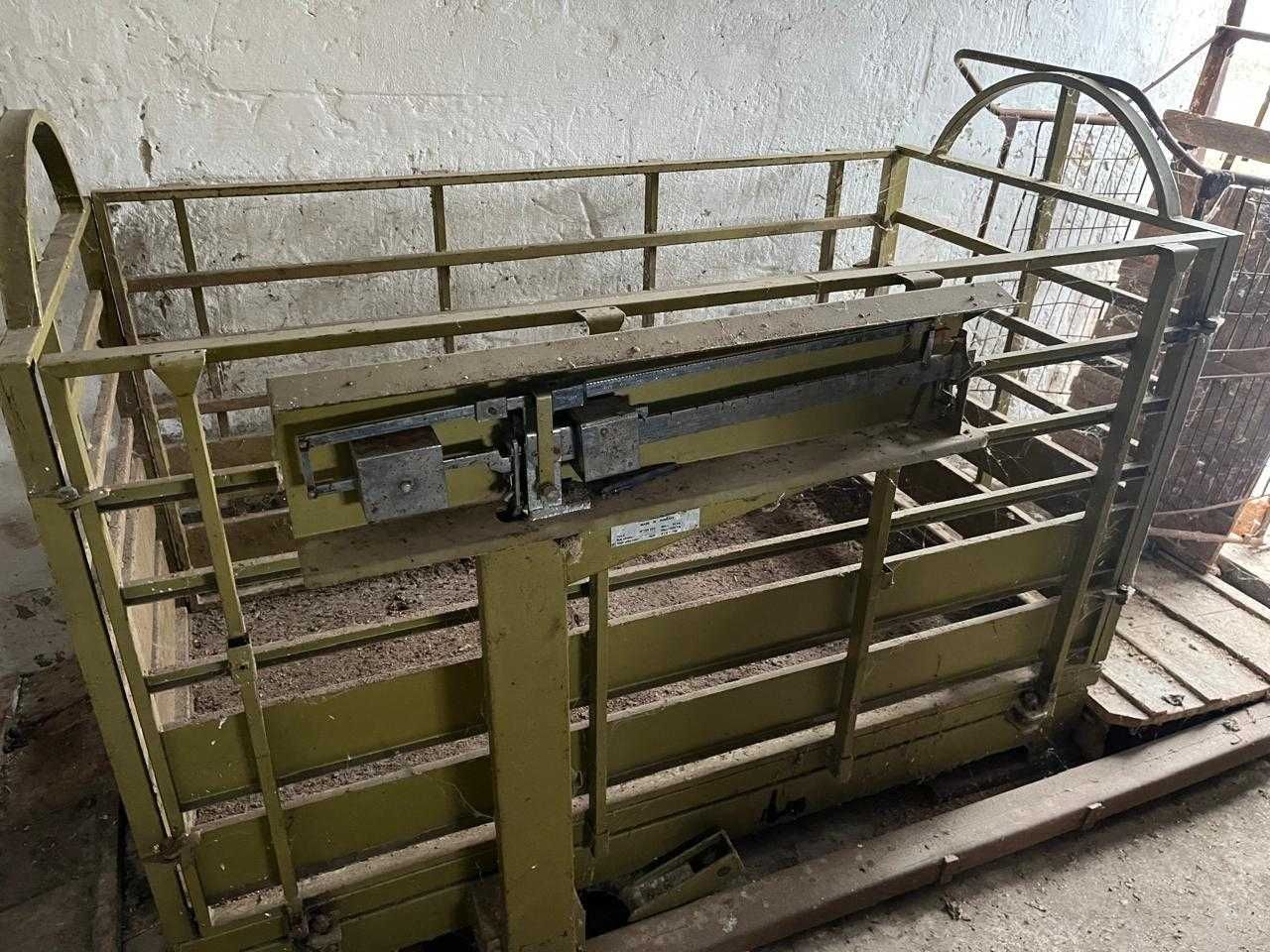 Свиноферма 600 м2