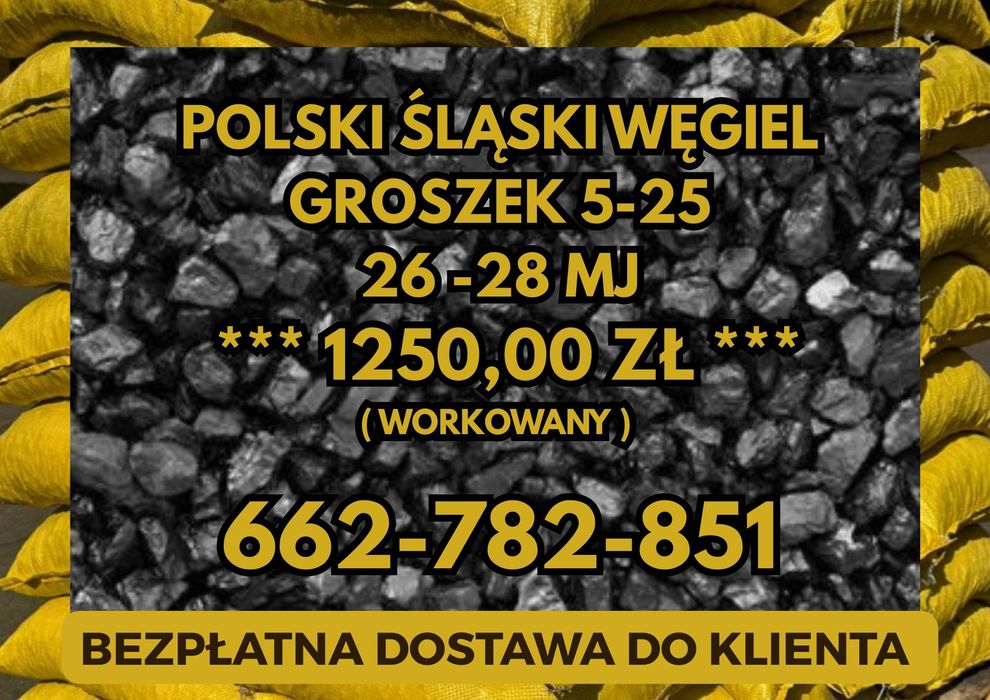 POLSKI WĘGIEL Groszek (5-25) 26-28MJ - Dostawa Gratis SŁAWNO !