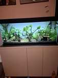 Akwarium Aquael 240l