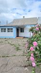 Продам будинок в селі Мала Вільшанка ( Білоцерківський район)