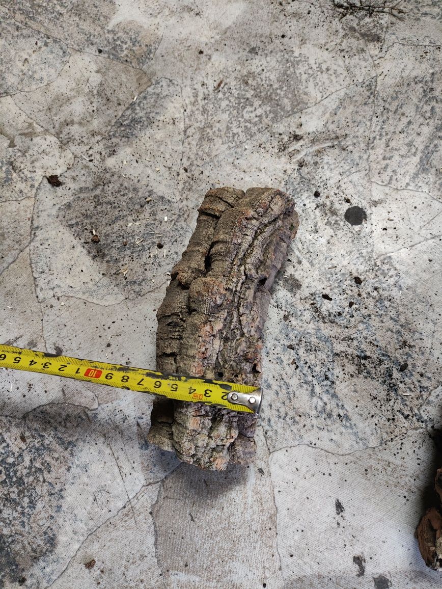 Tuby korkowe do terrarium dla pytona ptasznika gekona aranżacji