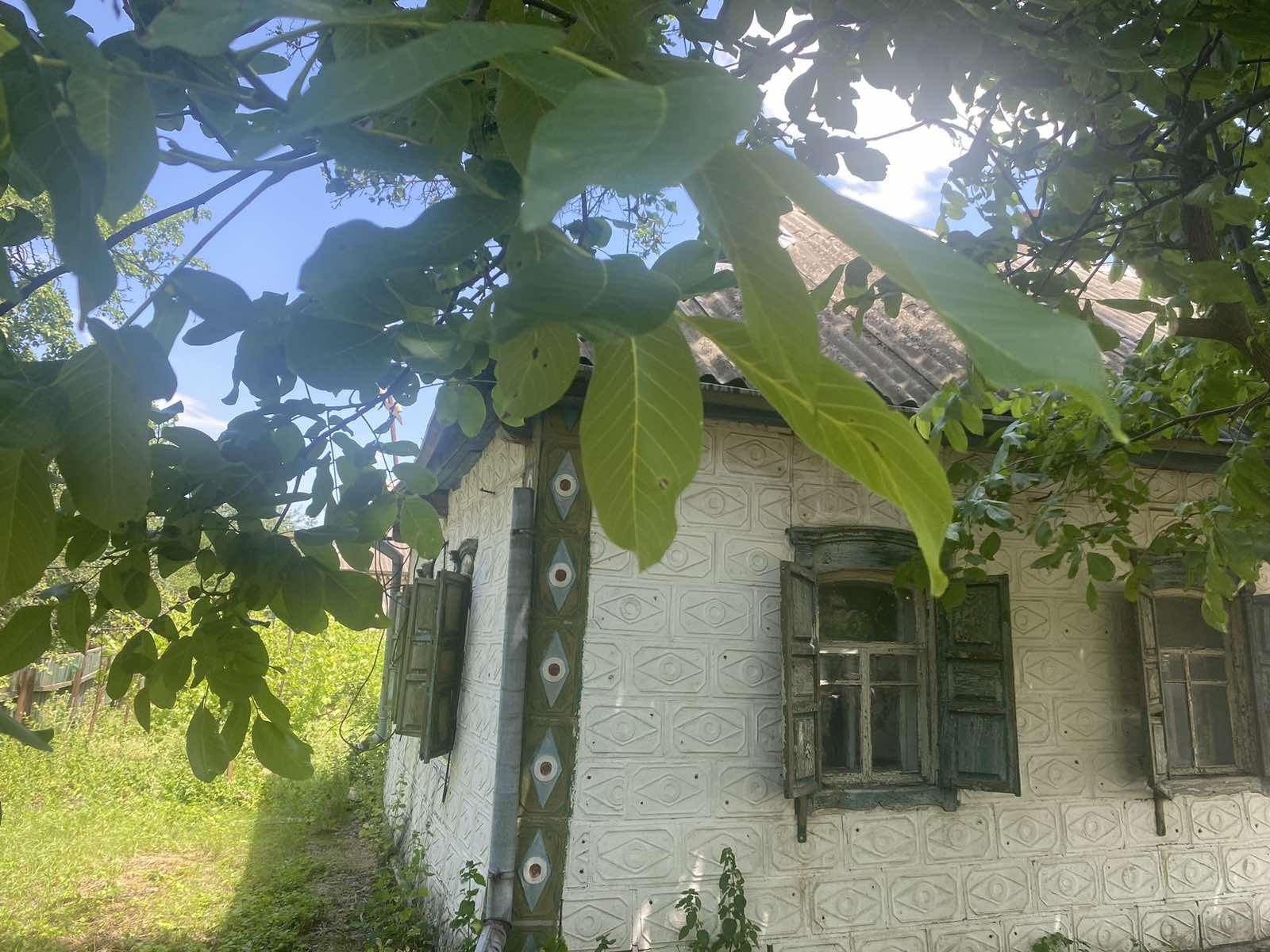 Продаж будинку в селі Знаменівка - під сонячні панелі!