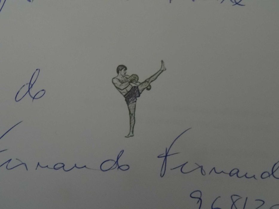 Ser Campeão de Fernando Fernandes