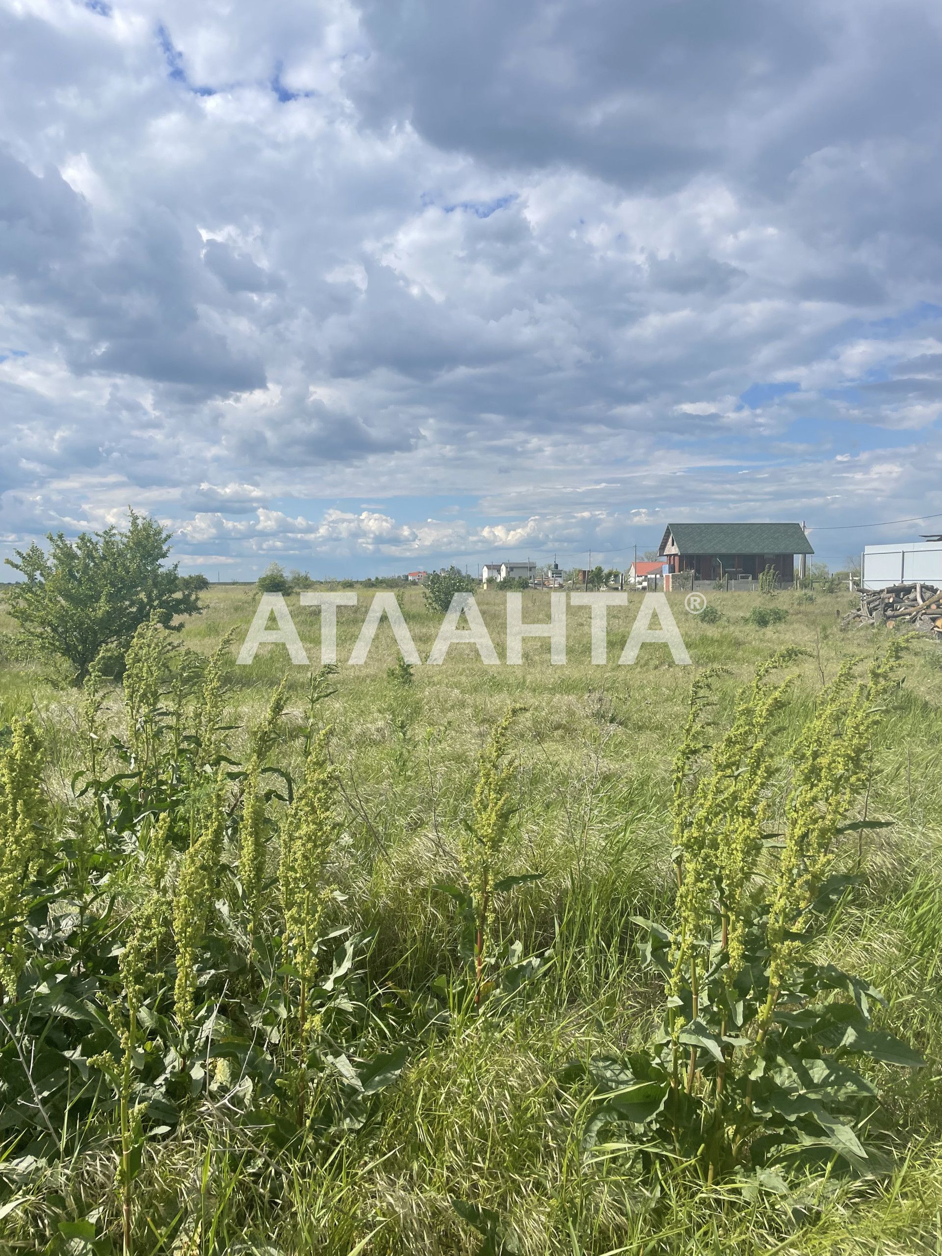 Участок в Фонтанке.