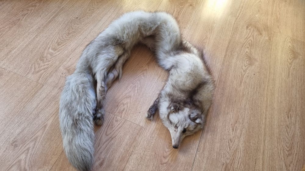 Szal z  naturalnego lisa