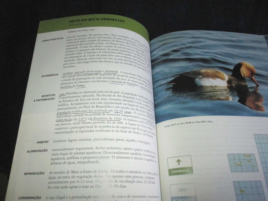 Livro Guia de Campo das Aves Aquáticas de Portugal