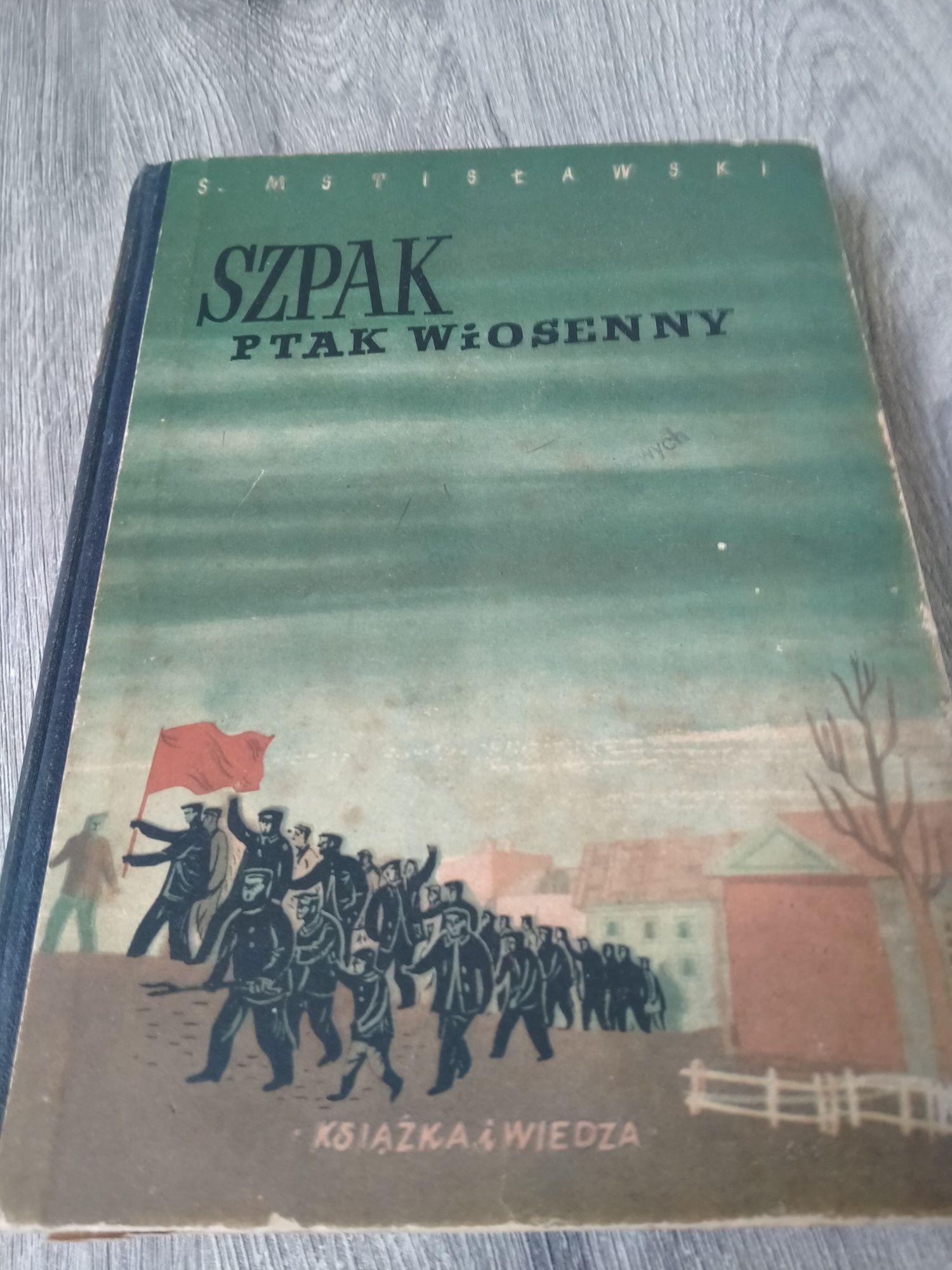 Szpak ptak wiosenny Mstisławski (008)