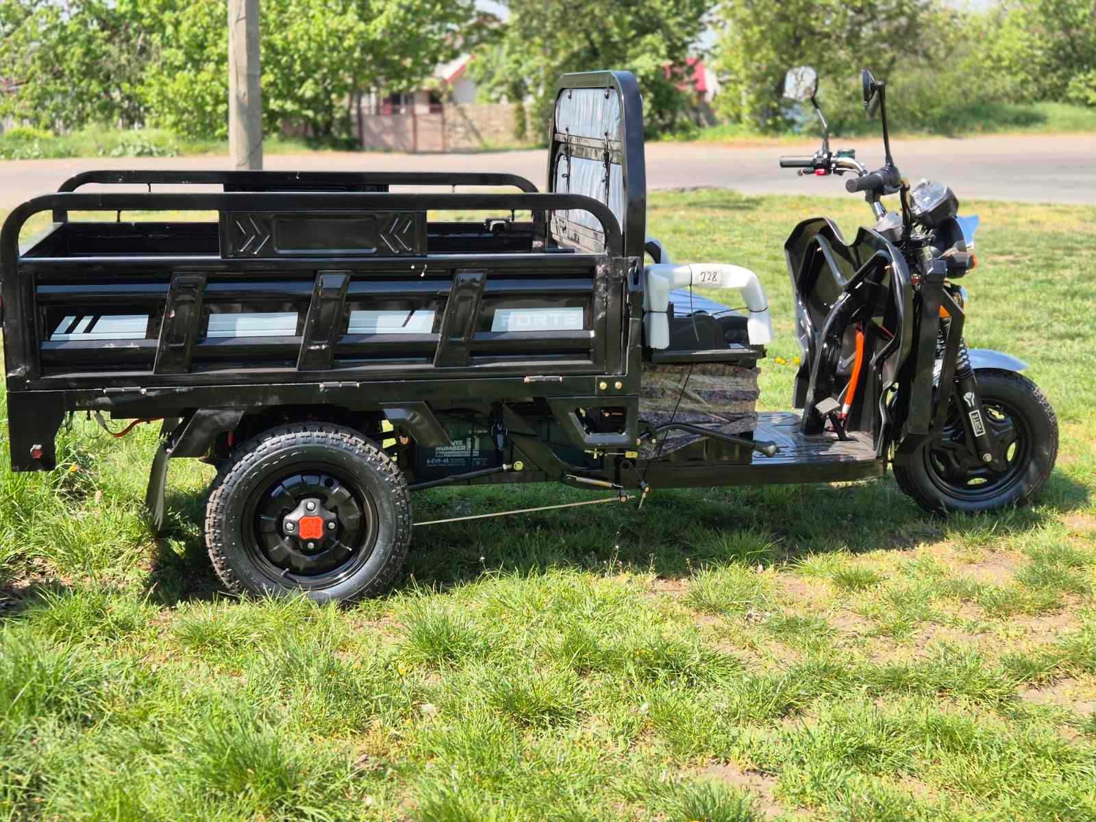 Новий! 1200W Вантажний електричний трицикл FORTE