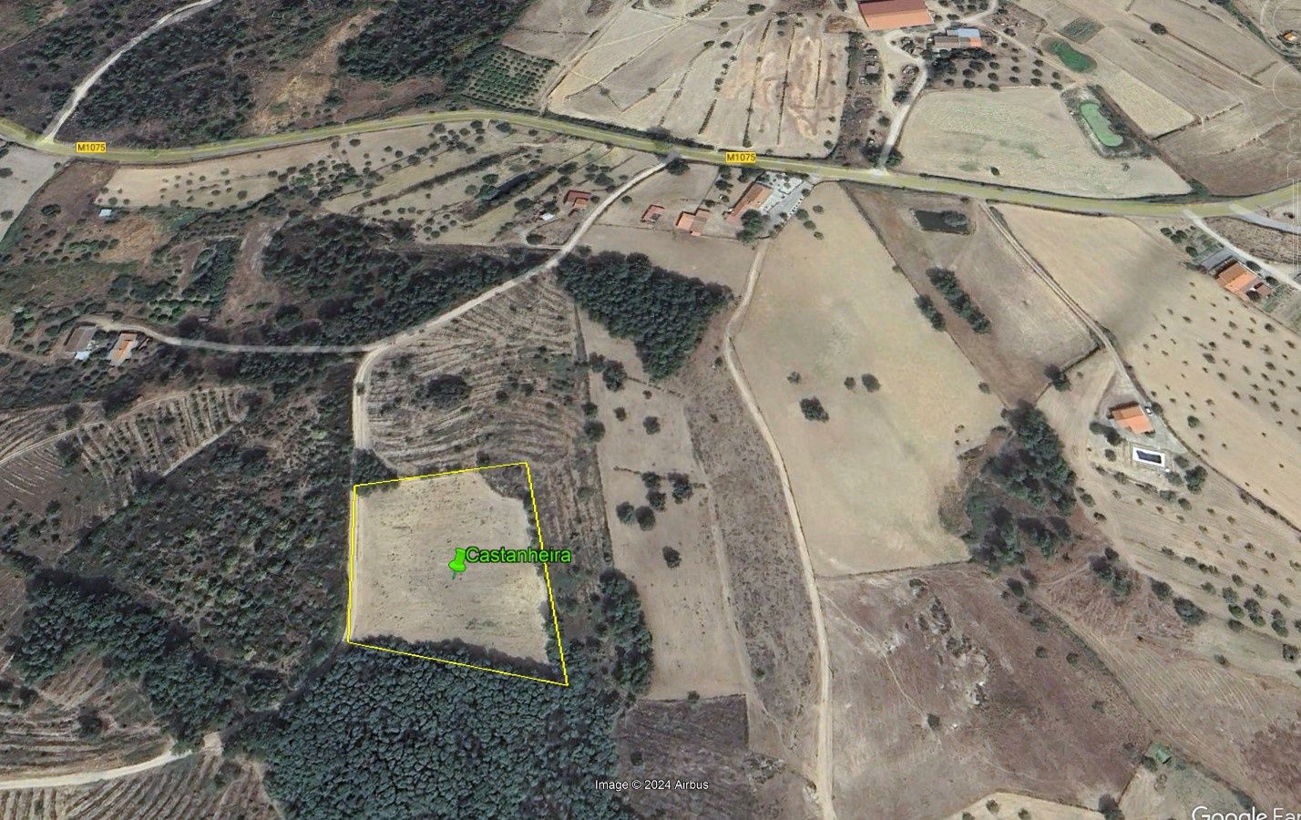 Terreno  com 6750 m2 em Catrão, Vale de Prazeres, Fundão.
