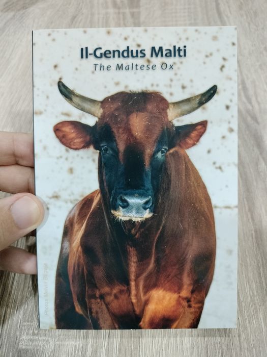 Moeda Comemorativa BNC 2€ Touro Maltês Malta 2025