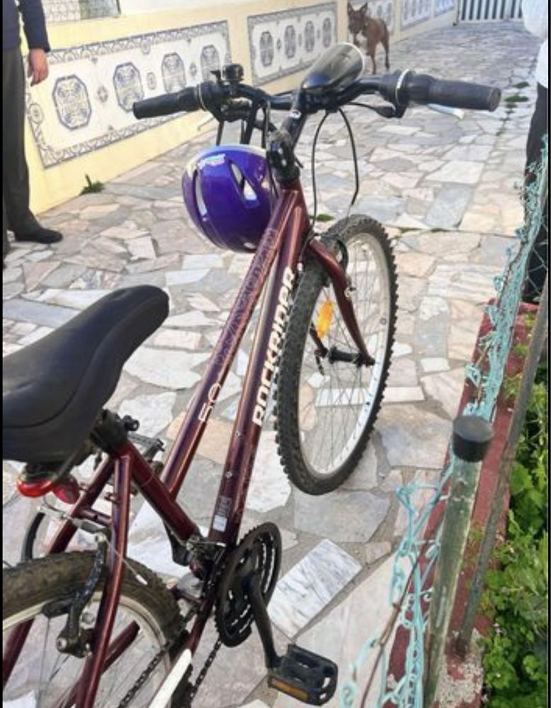 Bicicleta feminina