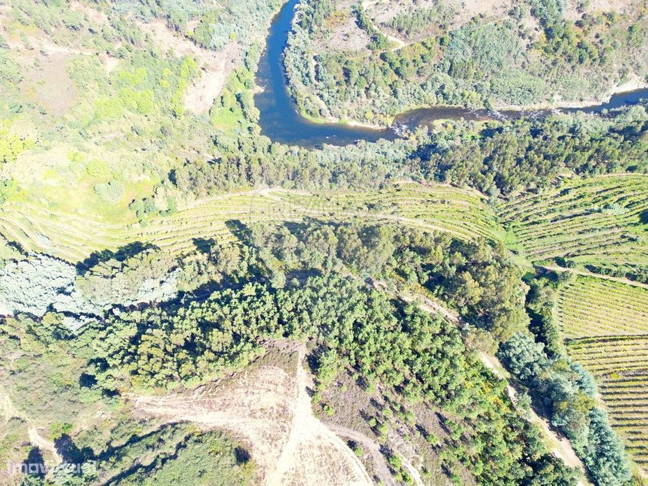Terreno  para venda