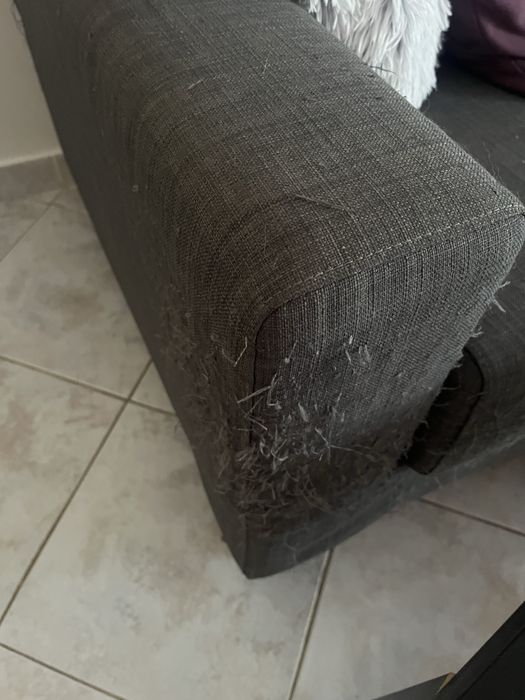 Dão se 2 sofás a quem vier buscar