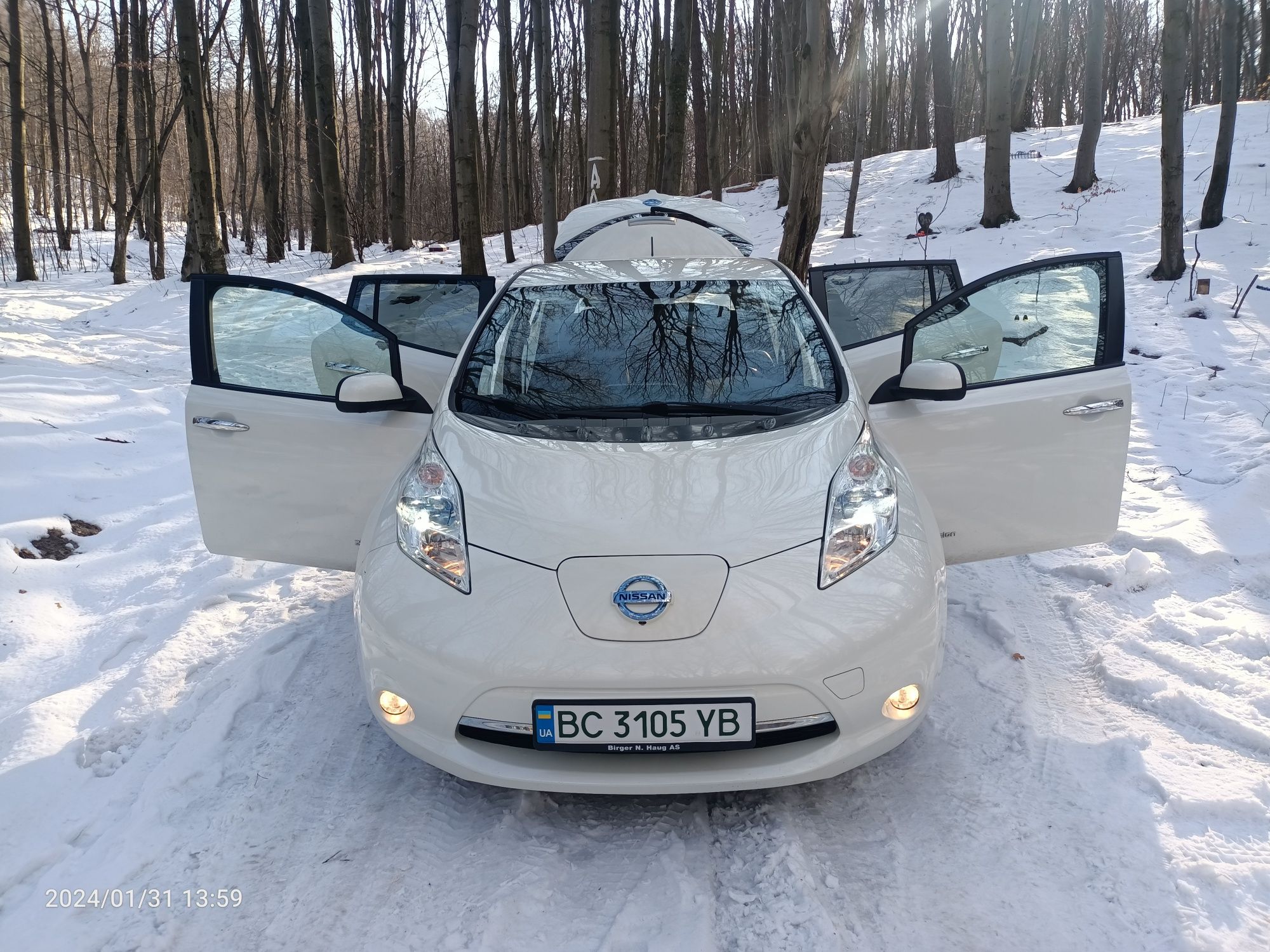 Nissan Leaf SOH 86%