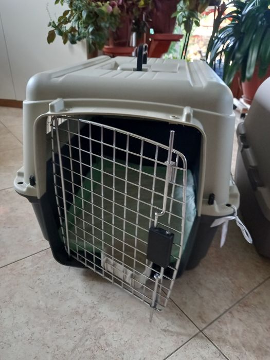 Transporter dla kota królika duży.