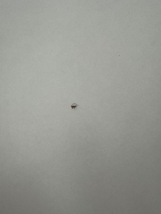 Białe biurko Bekant IKEA 160x80