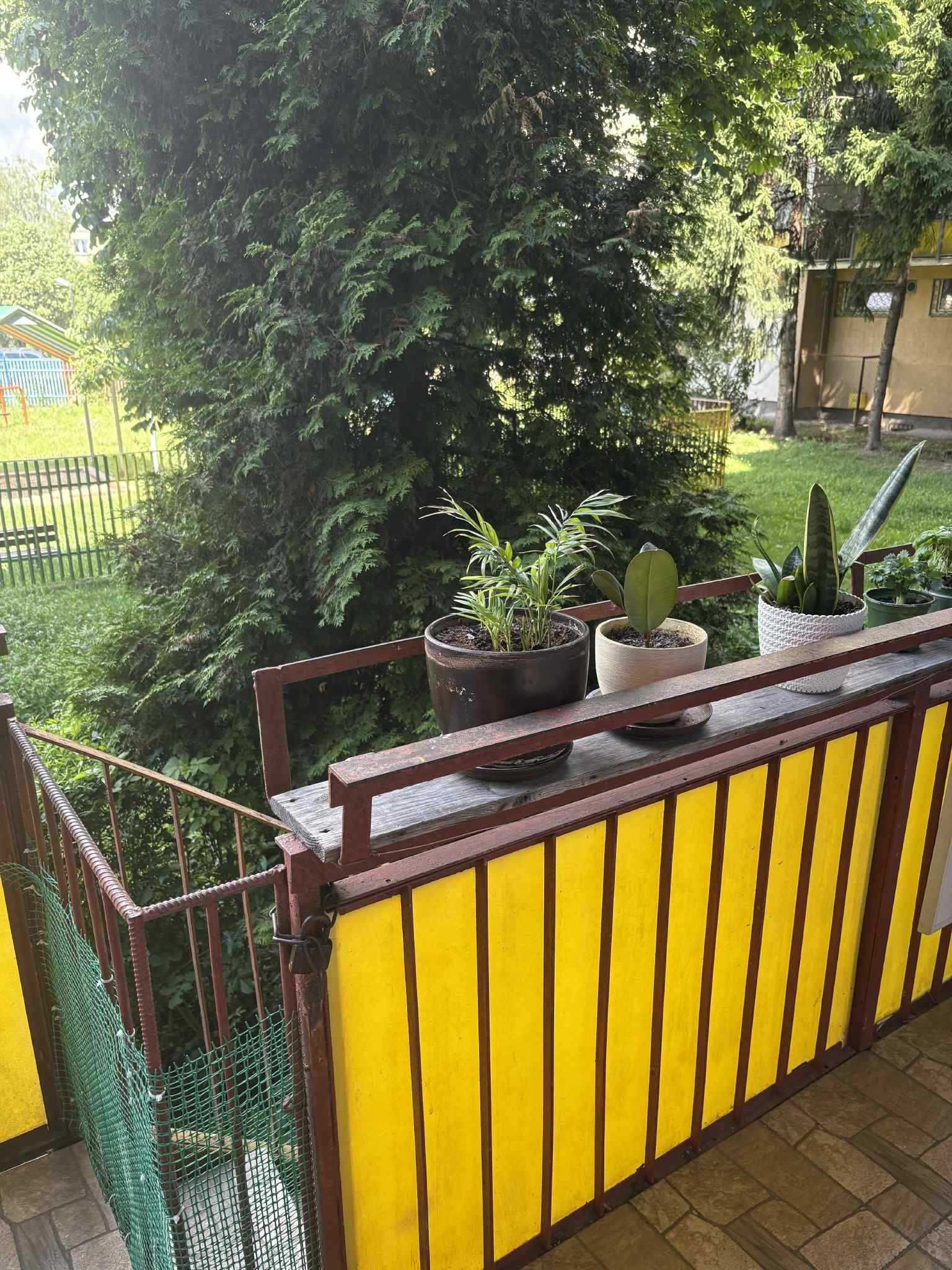 sprzedam mieszkanie