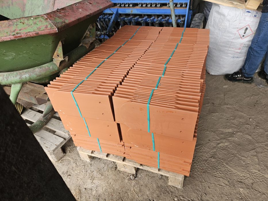 Dachowka karpiówka winenberger czerwień naturalna