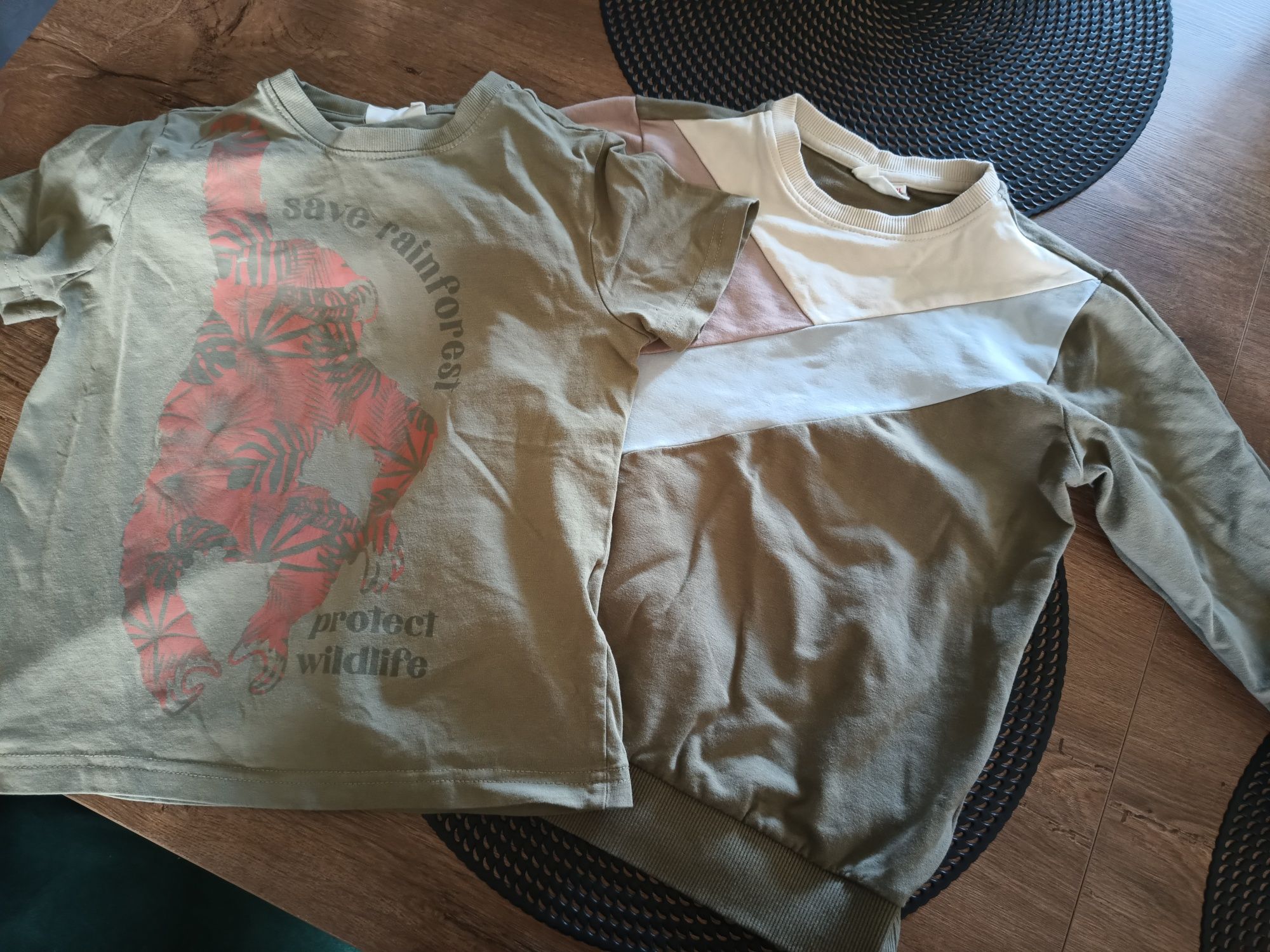 Bluza koszulka cocodrillo 116