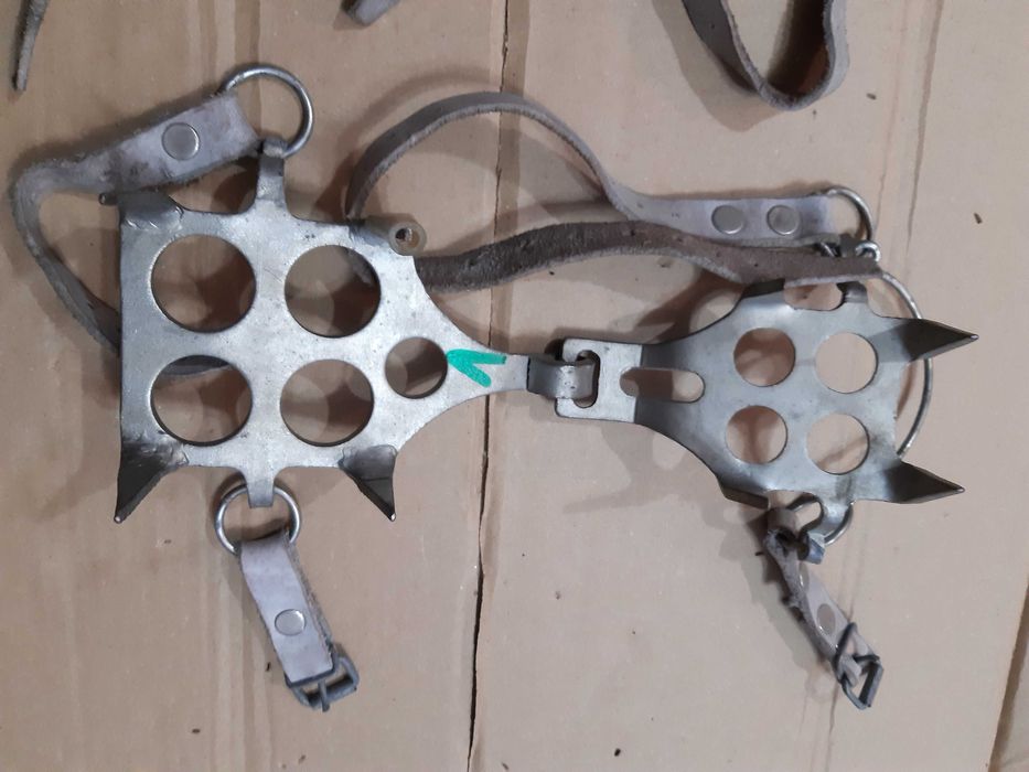 RAKI do chodzenia  zimą