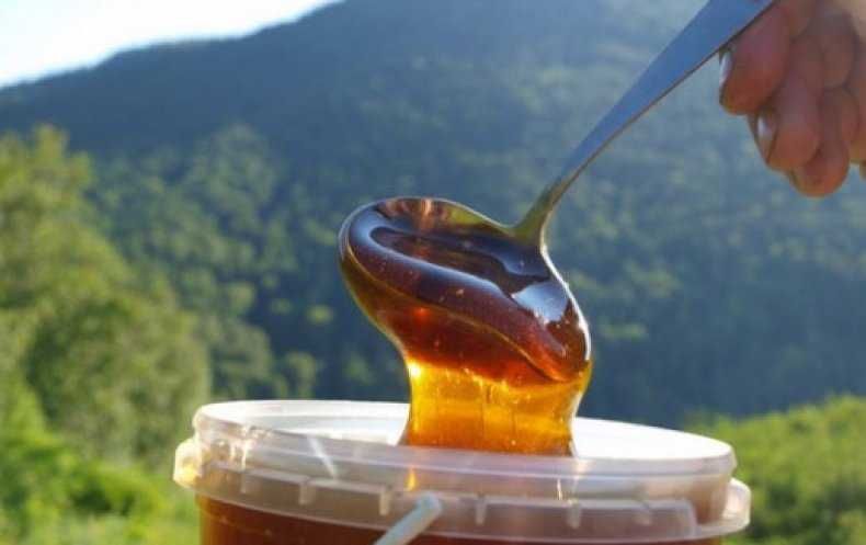 Лісовий мед Чорноклен, липа квіти. мед з чебрецю, гречки.Мёд лесной