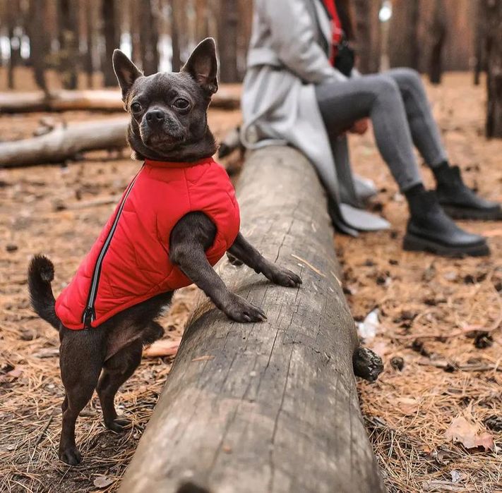 Жилет E.Vest для собак,   Pet fashion