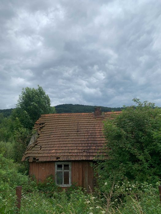 Продається будинок і земельна ділянка в селі Велика Сушиця