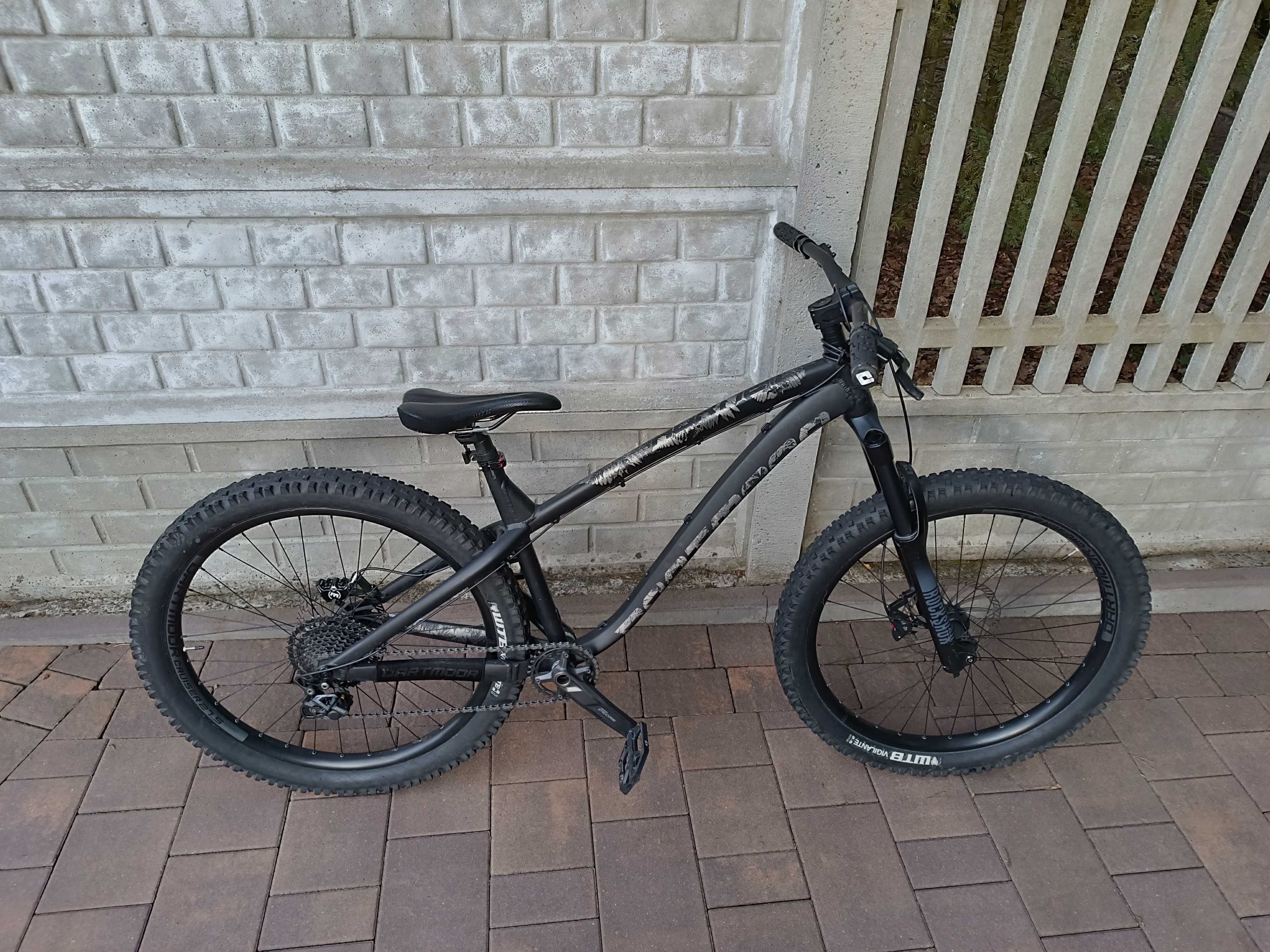 Dartmoor hornet 2021