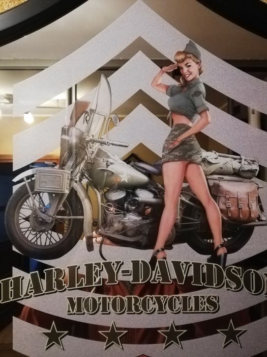 Harley Davidson wla, Harley wla ,wlc obraz