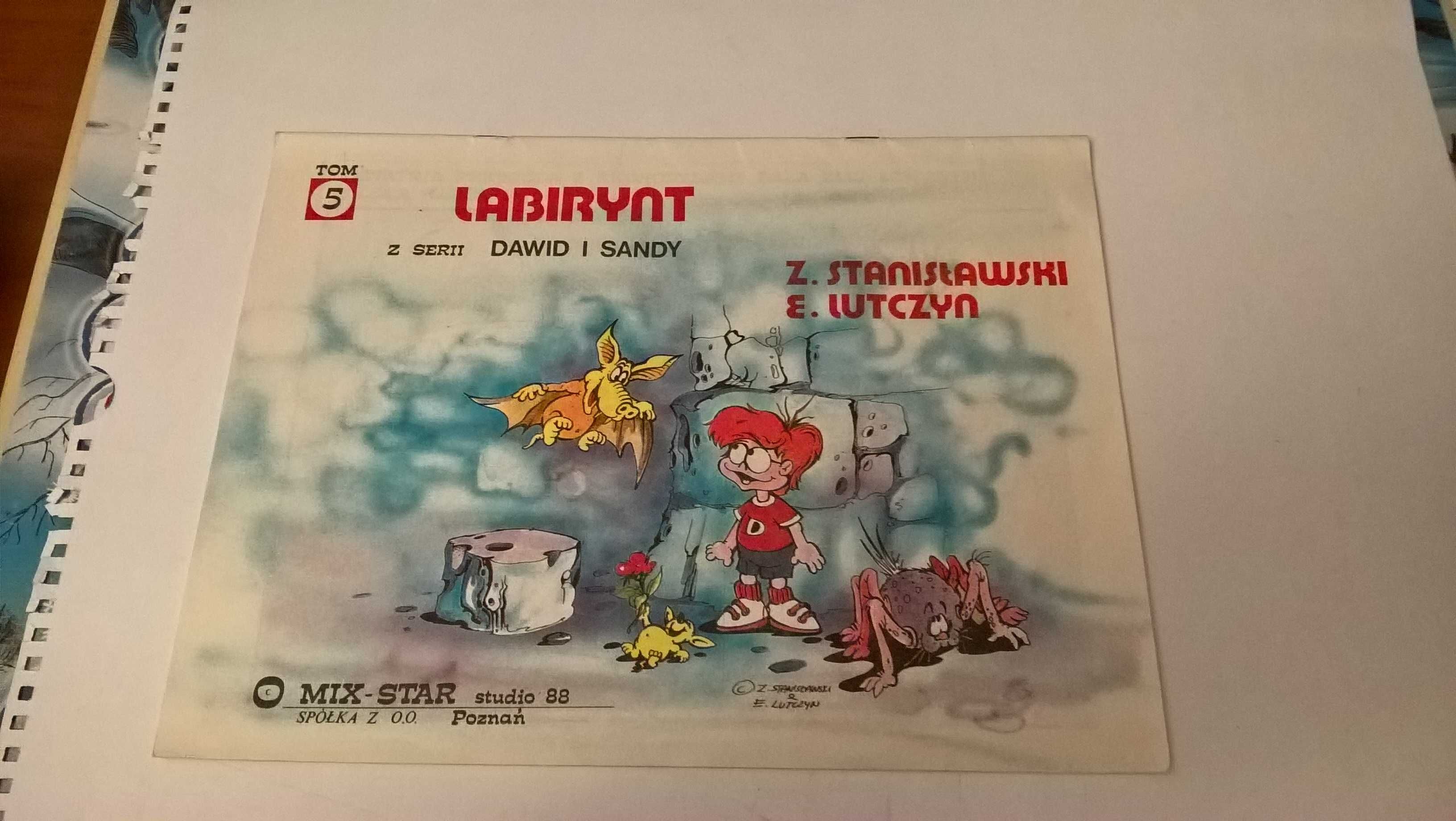 Labirynt. Z serii Dawid i Sandy tom 5  Z. Stanisławski, Edward Lutczyn