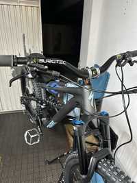 Specialized status 160