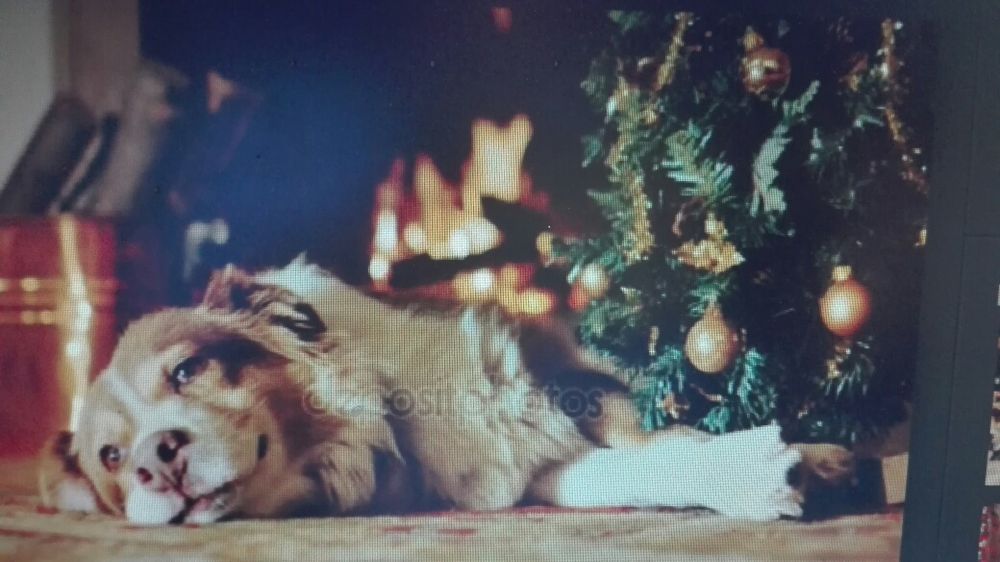 Lenhas de várias qualidades