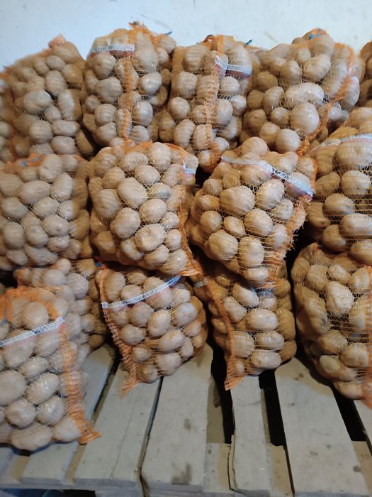 Ziemniaki  Soraya, Denar, oraz wielkości sadzeniaka