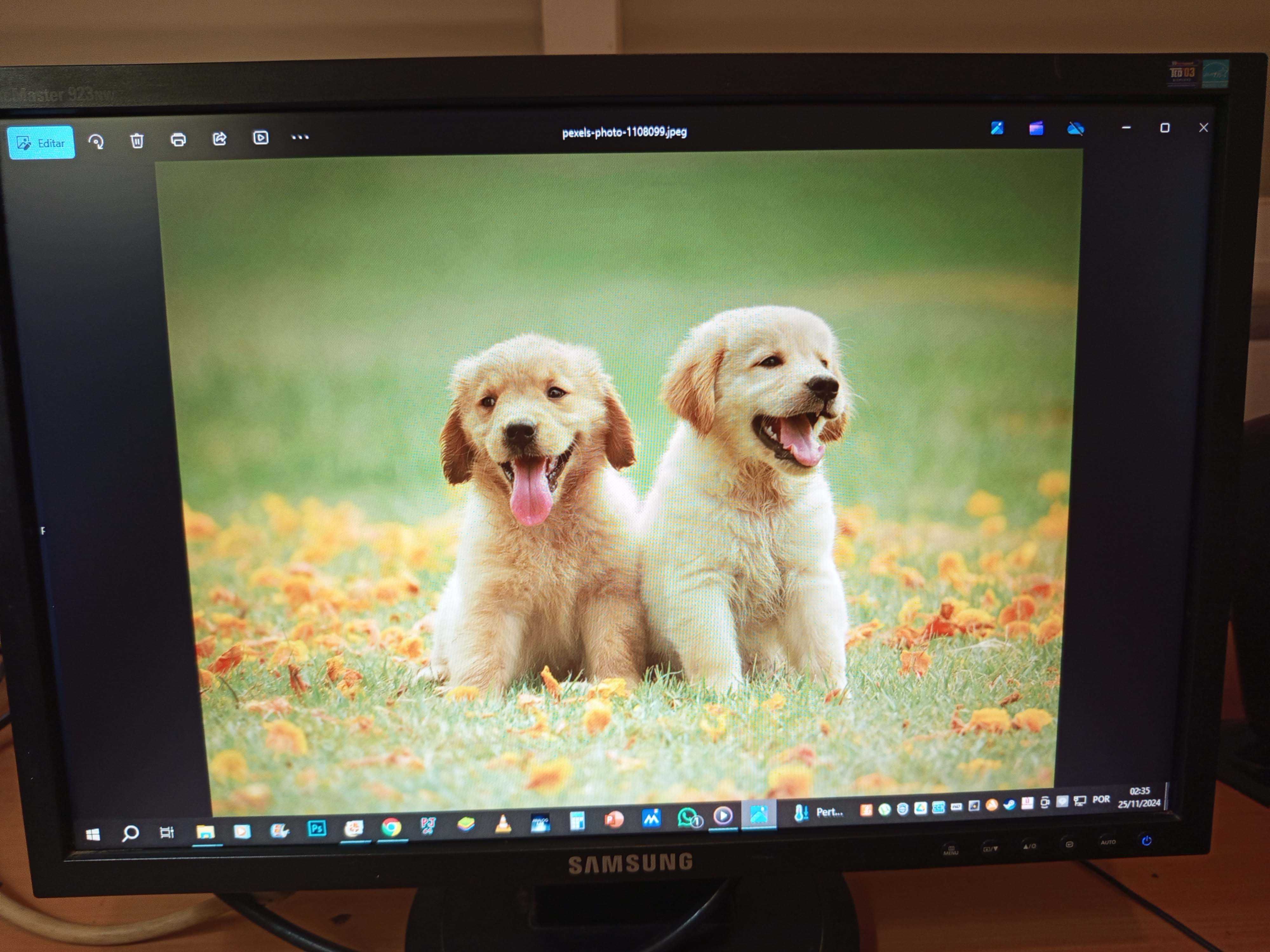 Monitor Samsung LS19