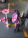 Bicicleta + Trotinete
