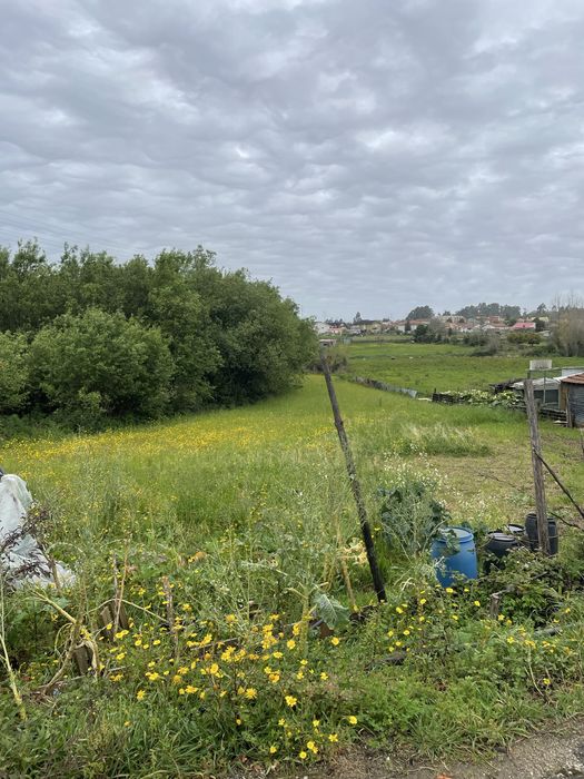 Terreno Rustico 4.400m2 Grijo Serzedo