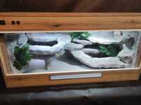 Terrarium 120x60x60 cm Anolis Gekon Agama wąż zbożowy