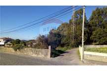 Terreno c/ pinheiros. Possibilidade de lotear hab