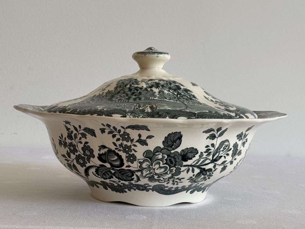 Waza  Palissy Staffordshire England