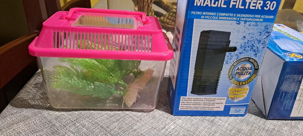 Aquario 8 litros mais acessórios