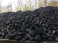 Węgiel Kamienny Kostka Orzech Ekogroszek Pellet