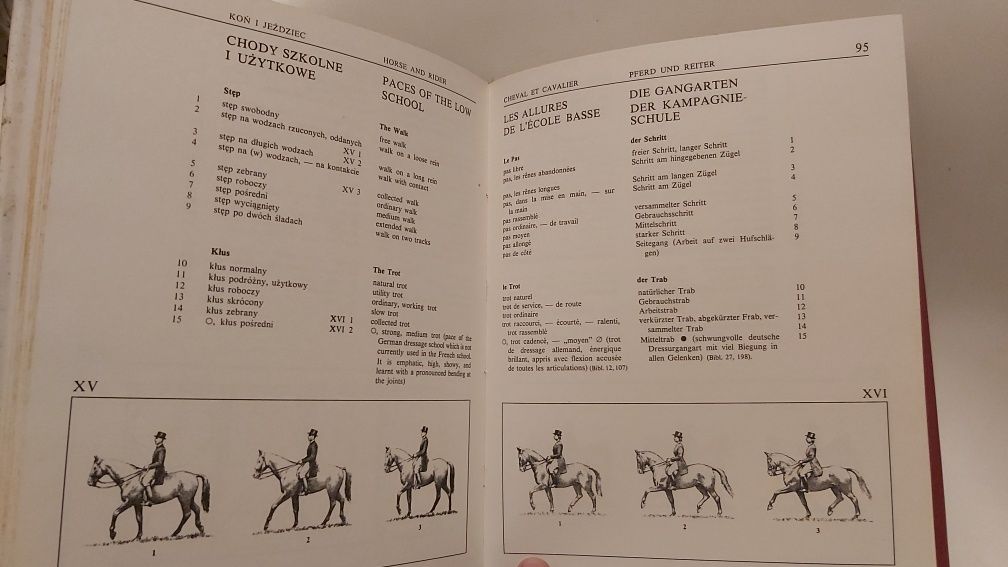 Koń i jeździectwo - książka SŁOWNIK hipologiczny Z. Baranowski