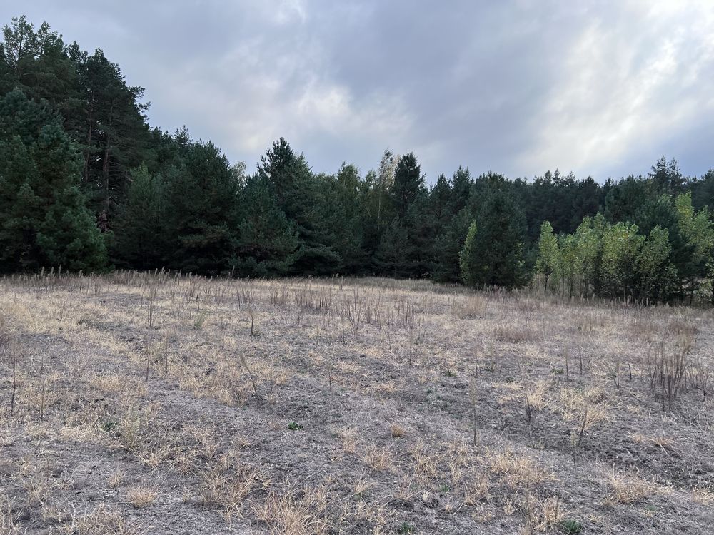 Продам ділянку 4Га в селі Жукин з лісом