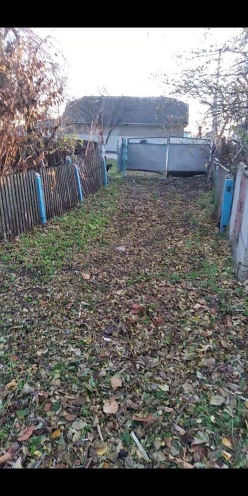 Будинок в Лісоводах
