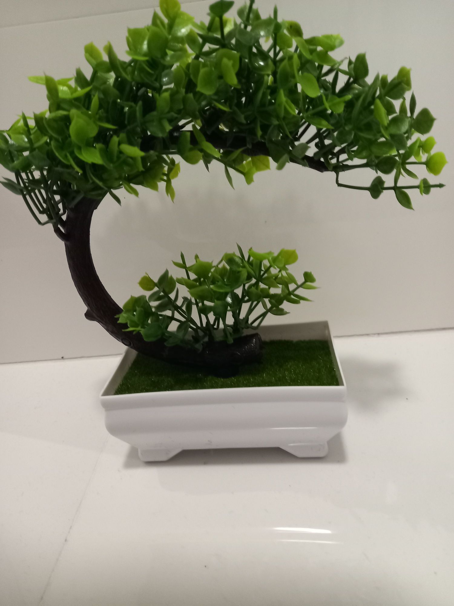 Kapitalne ozdobne drzewko BONSAI