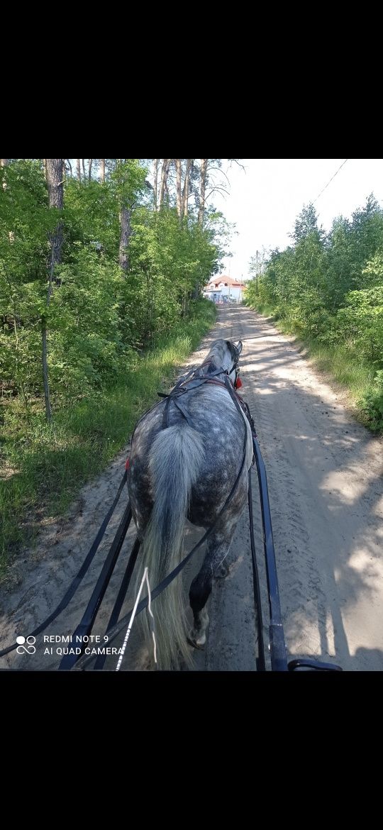 Matka i córka sp