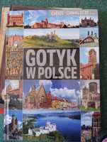książka Gotyk w Polsce
