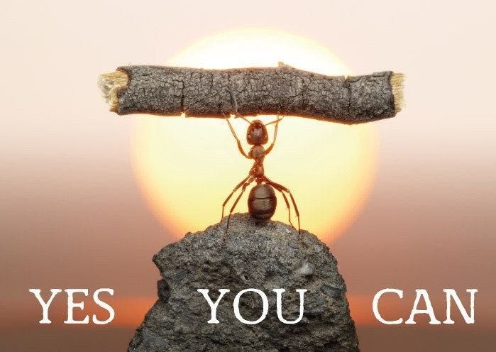 Korepetycje matematyka Rzeszów oraz Krasne